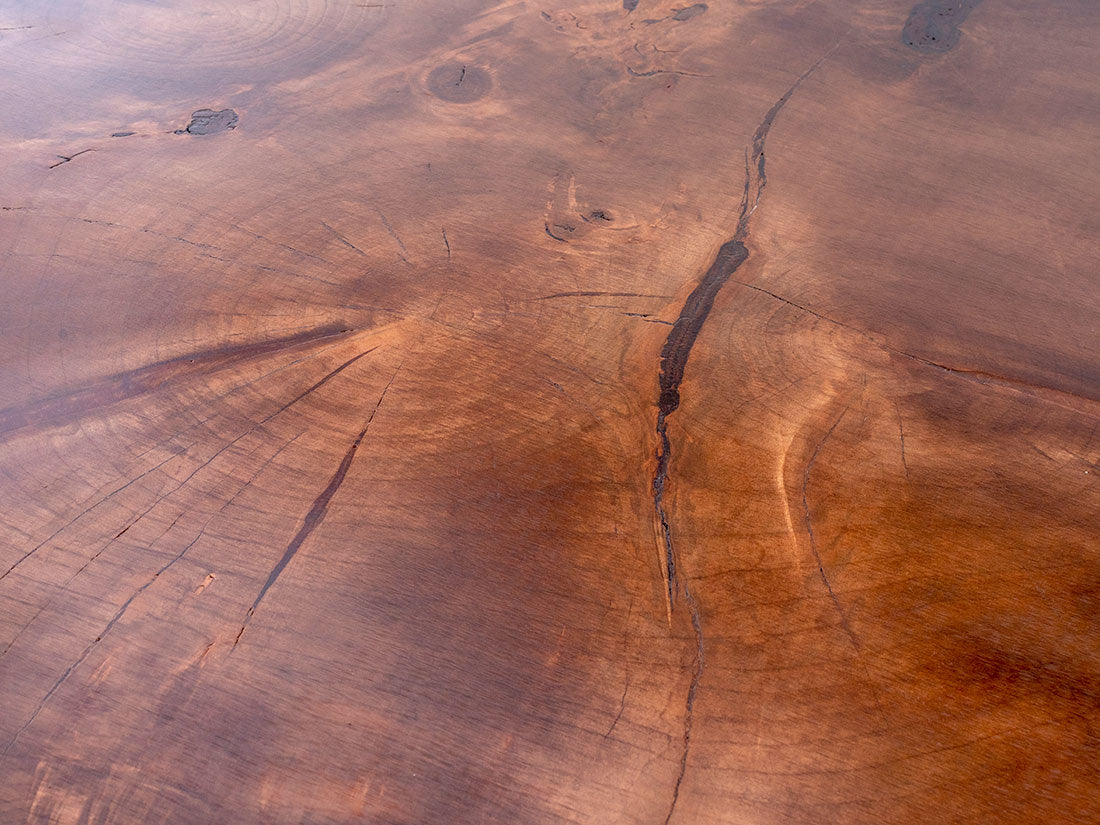 Silver Maple w/ Northern White Cedar Stump