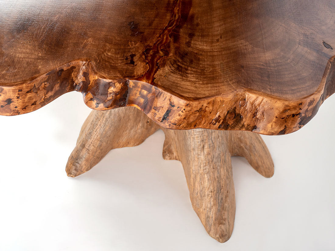 Silver Maple w/ Northern White Cedar Stump