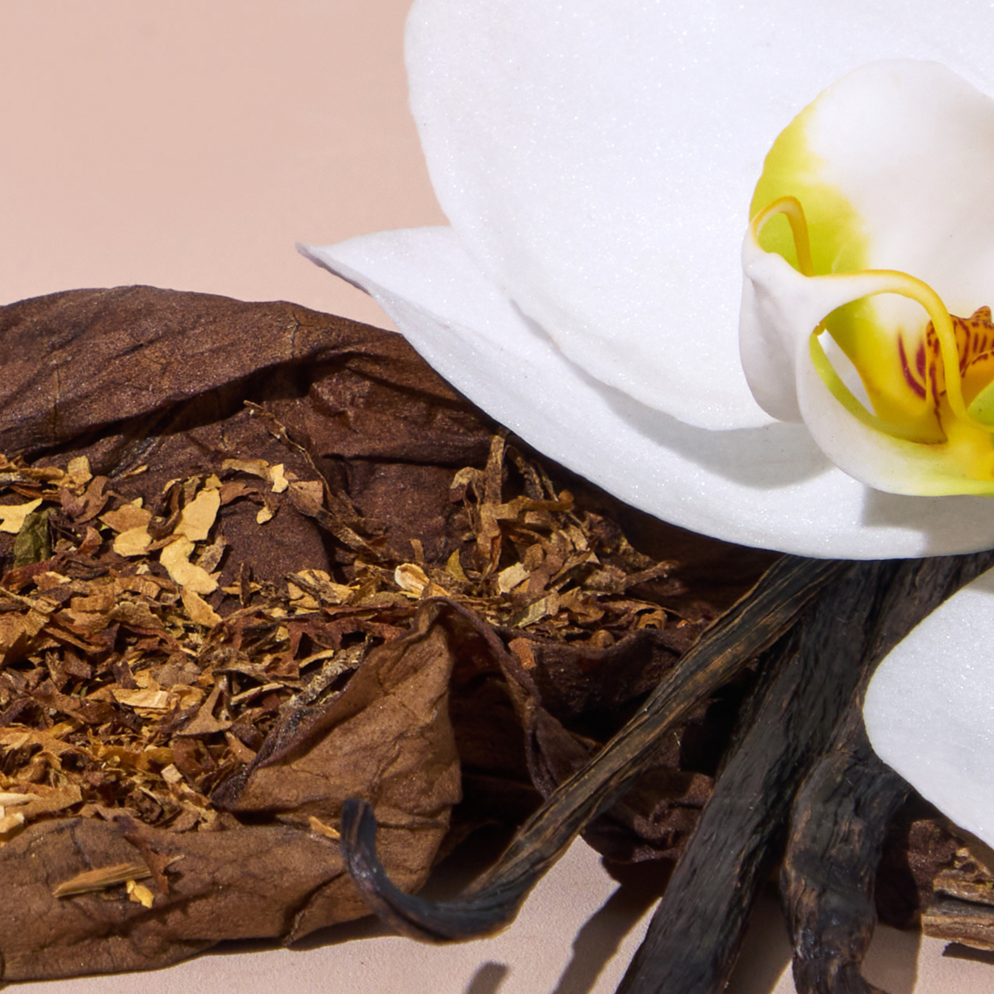 Bright Spot car freshener featuring natural tobacco leaves and white orchid for man cave interior spray