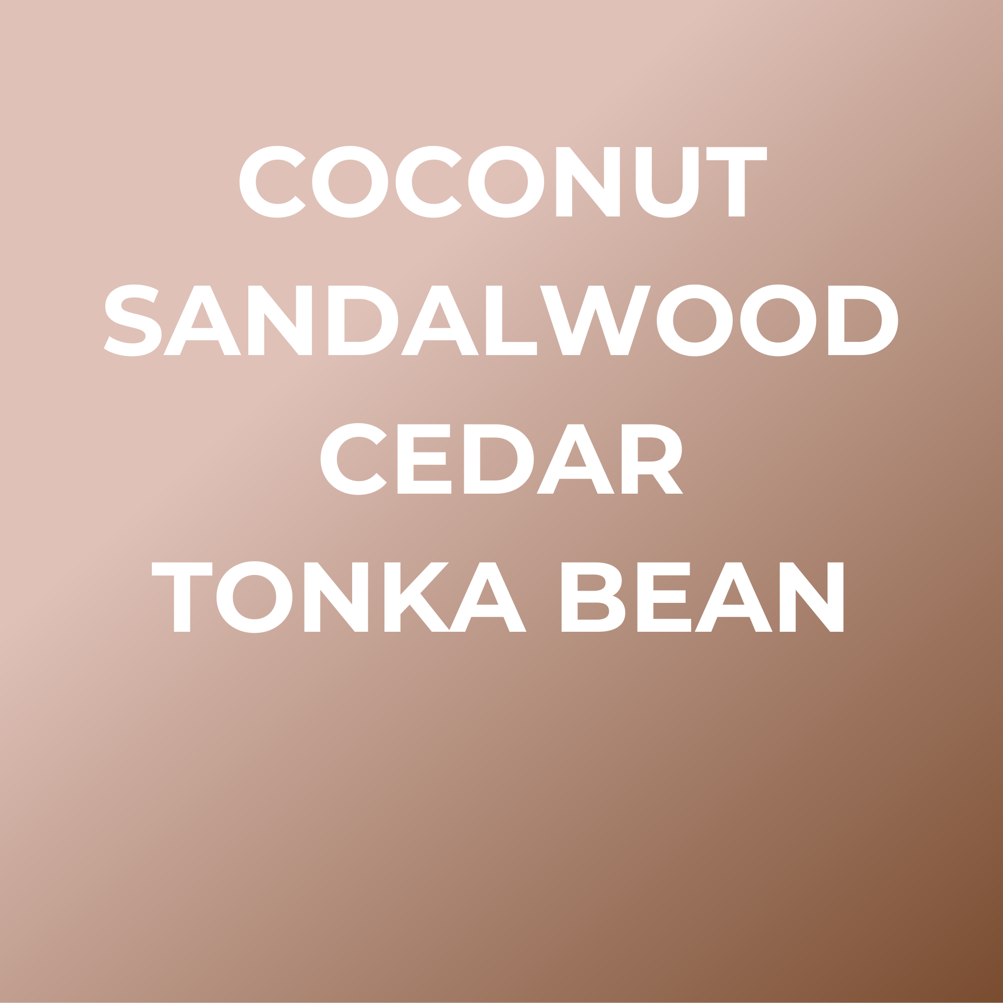 Bright Spot summer car air freshener set with coconut sandalwood cedar and tonka bean scents