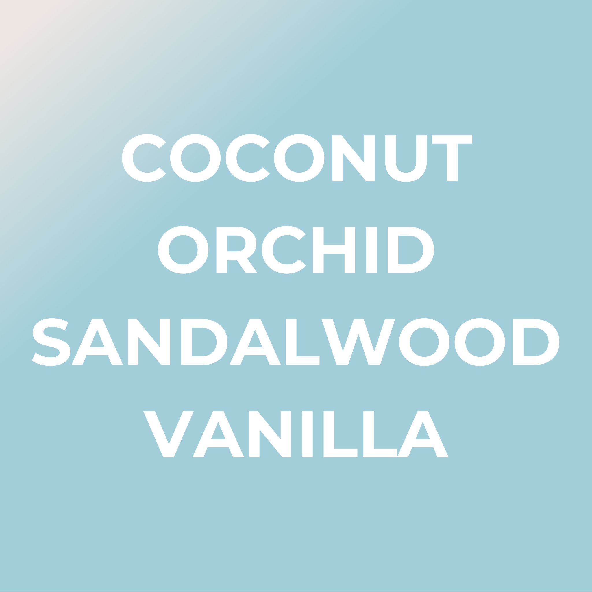 Bright Spot summer car air freshener set with coconut orchid sandalwood and vanilla scents