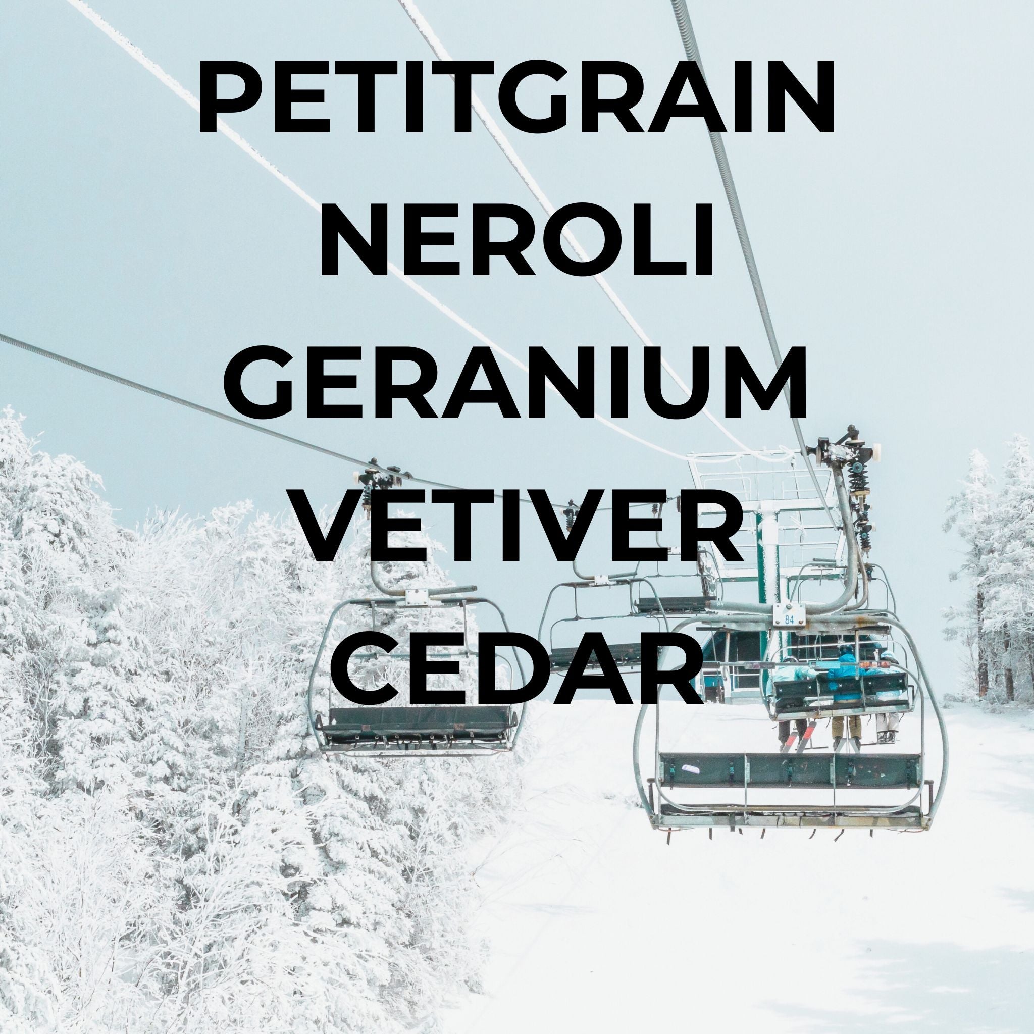 Winter car freshener set by bright spot featuring scents of petitgrain neroli geranium vetiver and cedar