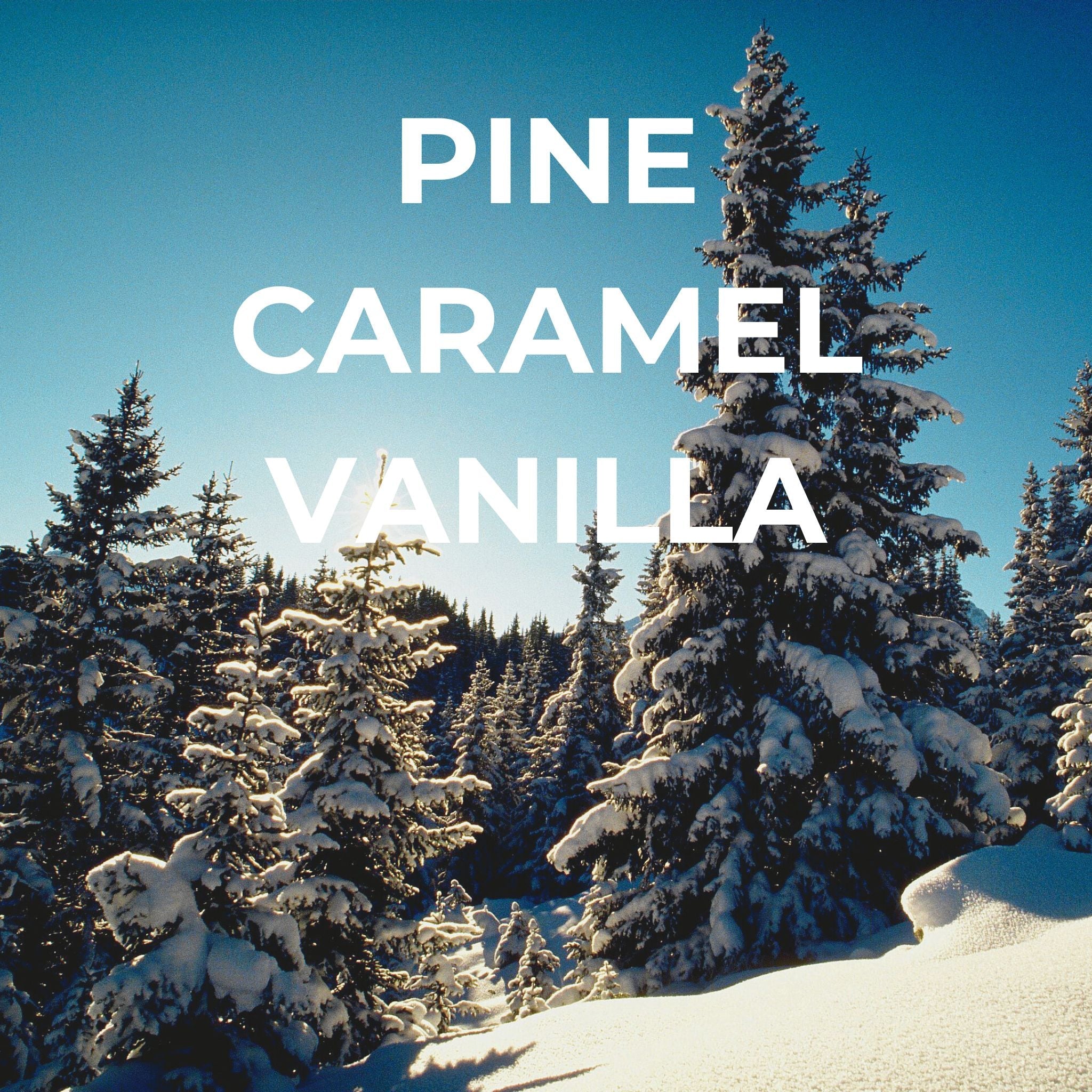 Bright Spot winter car freshener set with pine caramel vanilla scents inspired by snowy forest trees