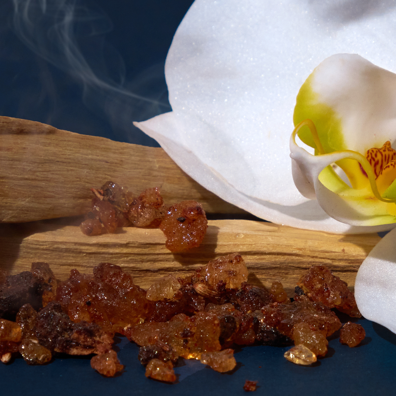 Bright Spot car freshener with luxury interior spray featuring sandalwood resin and white orchid flower