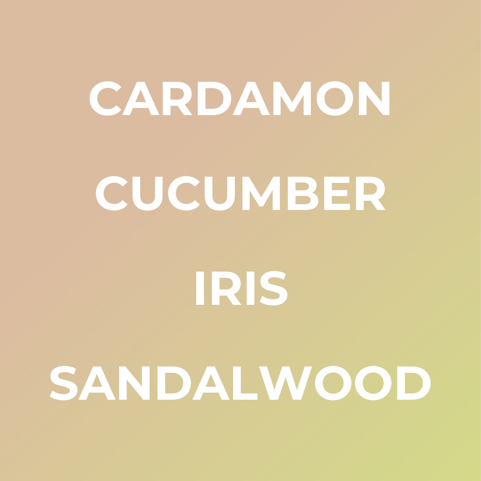 Bright Spot car freshener luxury interior spray with cardamom cucumber iris sandalwood scent