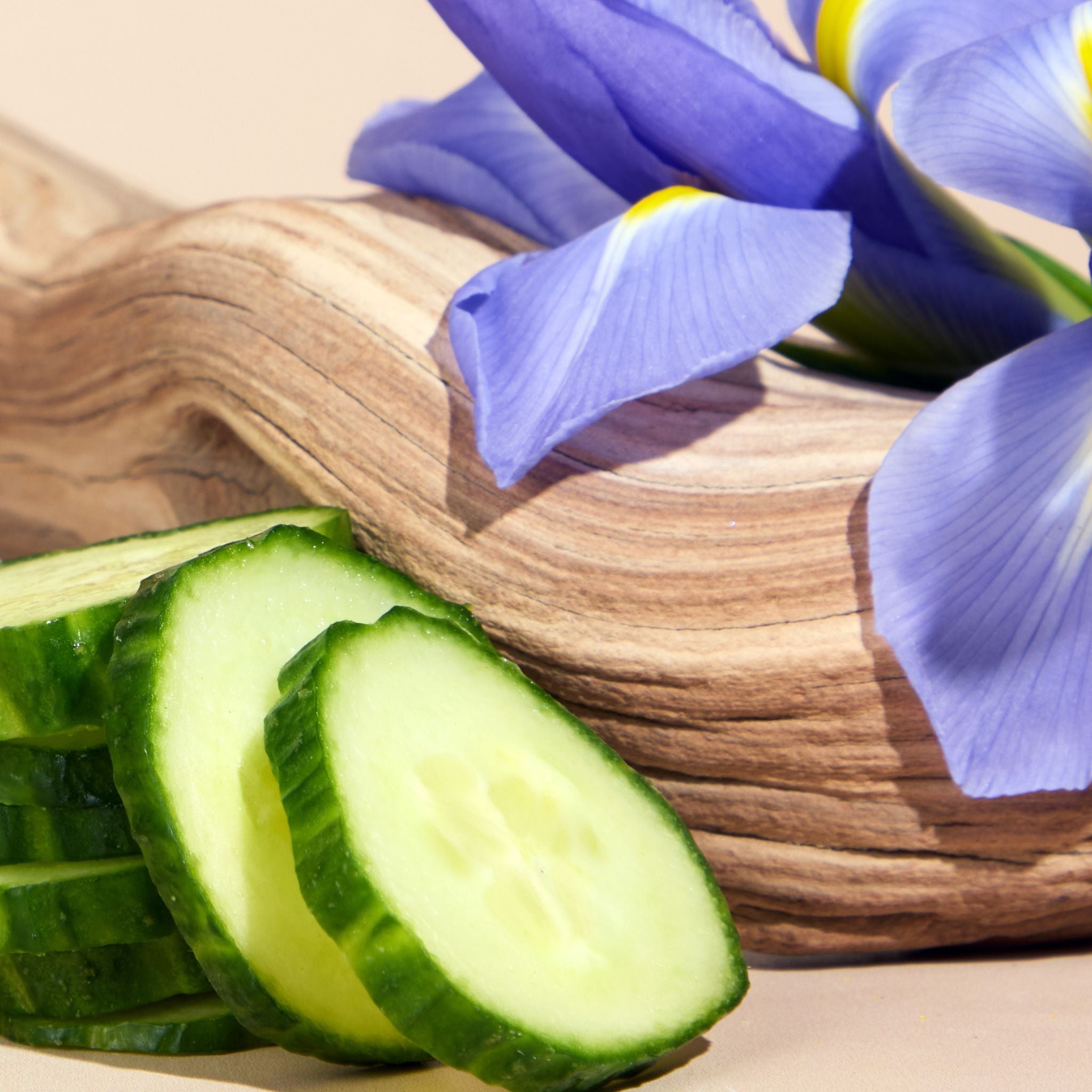 Bright Spot car freshener with cucumber and floral scent as luxury interior spray